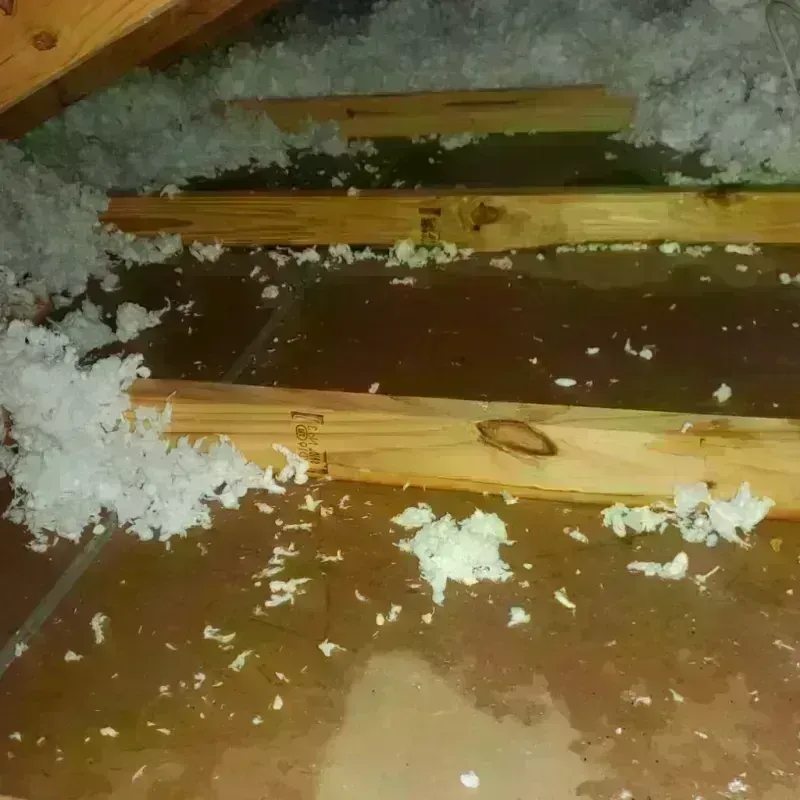 Attic Water Damage in Blue Grass, IA